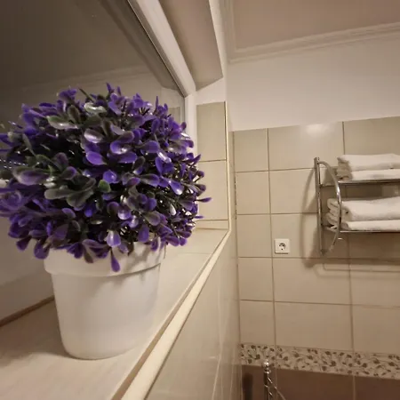 Centrum Business Apartman * Szekszárd