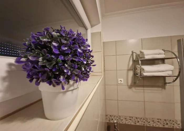 Centrum Business Apartman * Szekszard